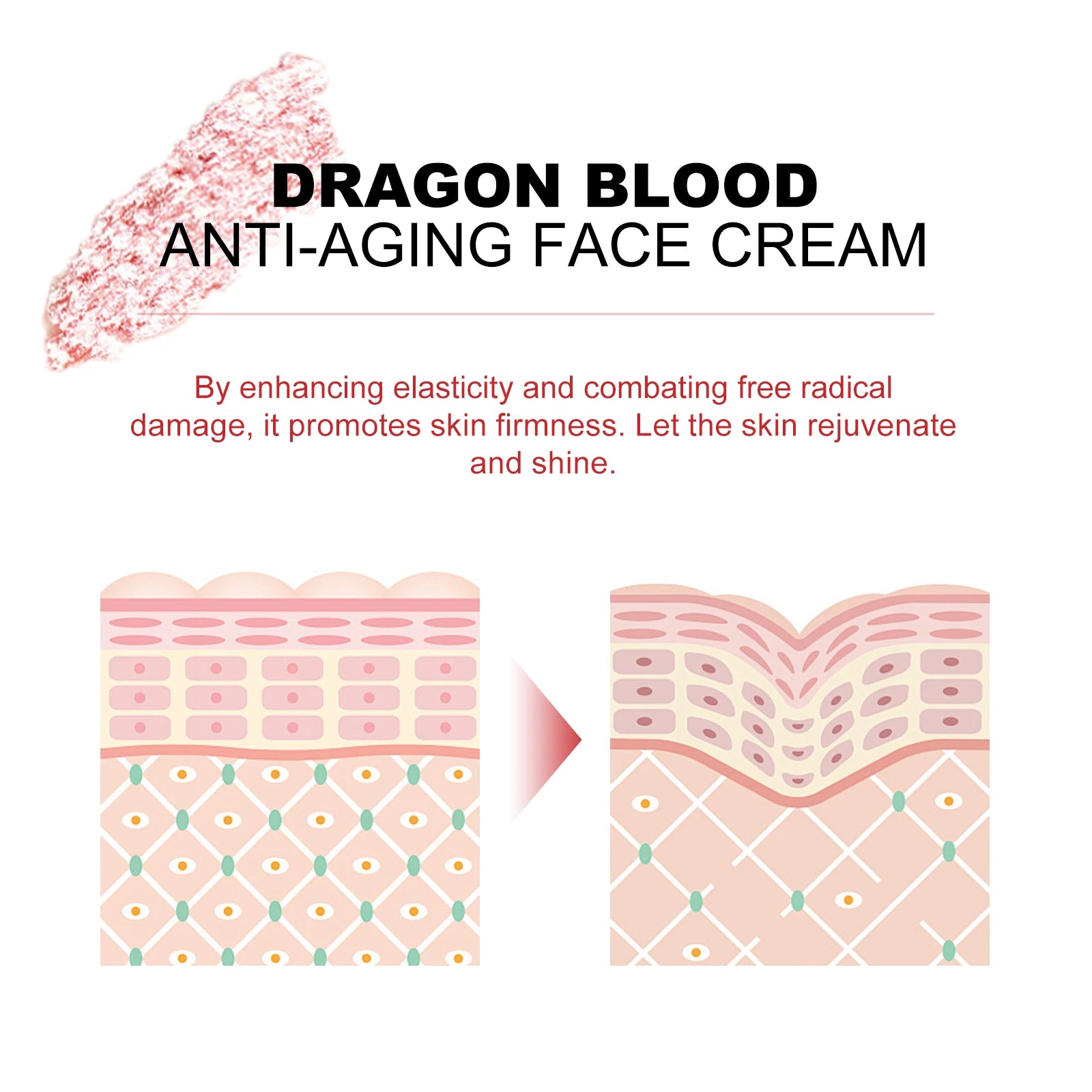 Dragon's Blood Hyaluronic Acid Cream